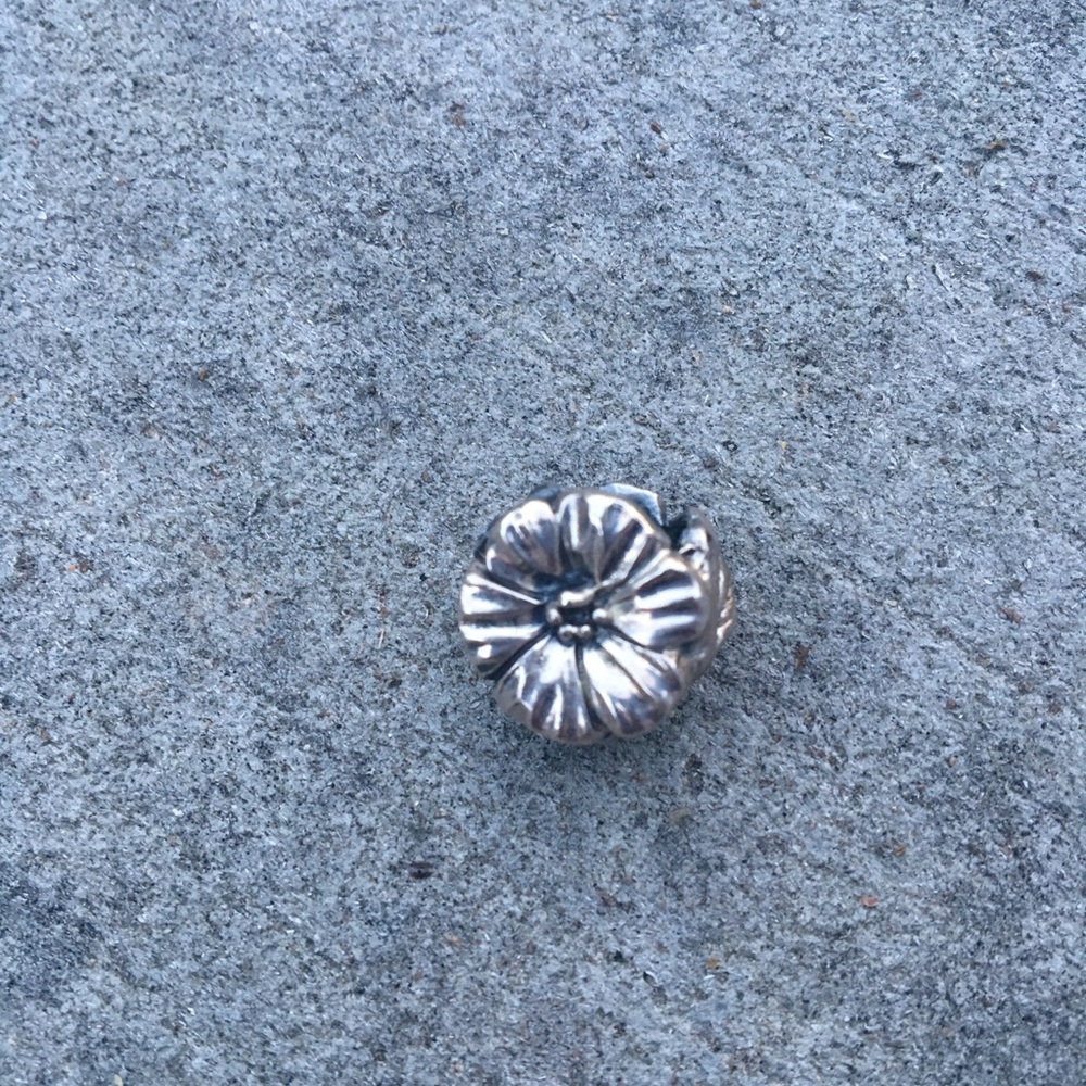Sterling silver Daisy Trollbead
